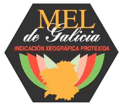 Miel de Galicia